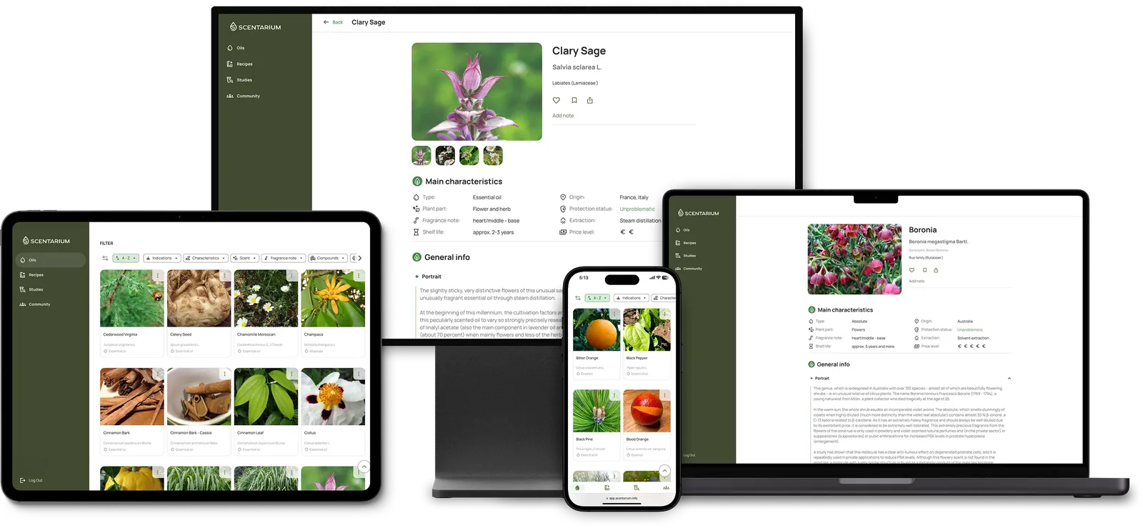 Scentarium running on an iPad, an iPhone and a MacBook, showing the essential oil library and a detail view