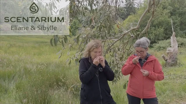 Eliane Zimmermann und Sibylle Broggi-Läubli im Gespräch über ätherische Öle